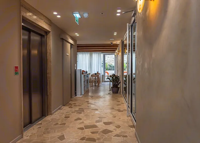 Travi Boutique By Holi